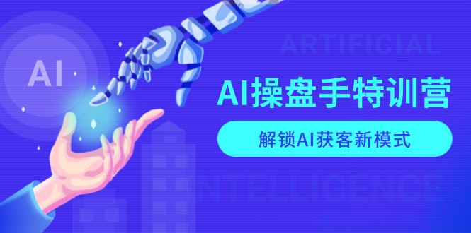 AI-操盘手特训营，解锁AI获客新模式，全面掌握AI商业应用与提示词技巧-天娱网创
