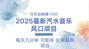 2025最新汽水音乐躺赚项目 每天几分钟 日入1000＋-天娱网创