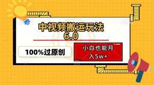 中视频搬运玩法6.0，利用软件双重去重，100%过原创，小白也能月入5w+-天娱网创