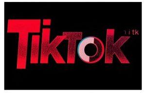 TikTok ads投流秘籍,涵盖tiktok整体投放思路,教你搭建测试计划-天娱网创