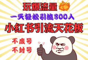 小红书引流天花板，玩爆流量，一天轻松引流300人，安全操作-天娱网创