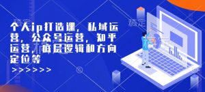 个人ip打造课，私域运营，公众号运营，知乎运营，底层逻辑和方向定位等-天娱网创