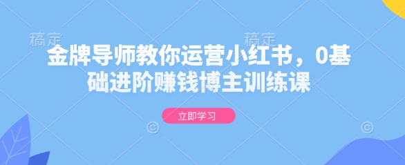 金牌导师教你运营小红书,0基础进阶赚钱博主训练课-天娱网创