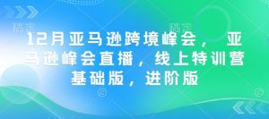 12月亚马逊跨境峰会， 亚马逊峰会直播，线上特训营基础版，进阶版-天娱网创