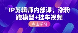 IP剪辑师内部课，涨粉跑模型+挂车视频-天娱网创