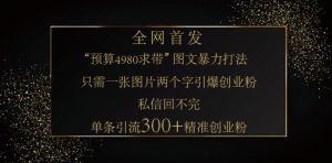 小红书神奇图片引流法，只需一张图，就能单条笔记凭借此方法，轻松引流 300 + 精准创业粉-天娱网创