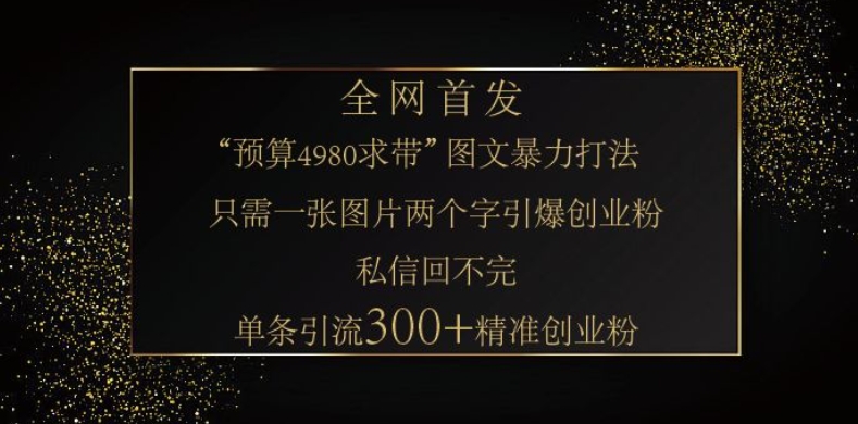 小红书神奇图片引流法，只需一张图，就能单条笔记凭借此方法，轻松引流 300 + 精准创业粉-天娱网创
