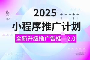 2025小程序推广计划，全新升级撸广告挂JI2.0玩法，日入多张，小白可做【揭秘】-天娱网创