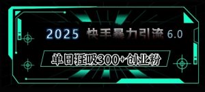 2025年快手6.0保姆级教程震撼来袭,单日狂吸300+精准创业粉-天娱网创
