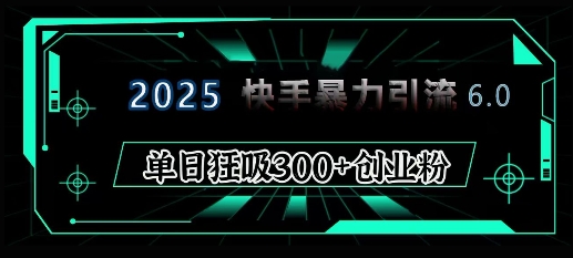 2025年快手6.0保姆级教程震撼来袭,单日狂吸300+精准创业粉-天娱网创