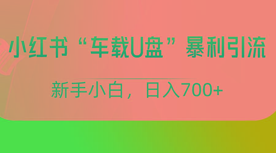 小红书“车载U盘”项目,暴利引流,新手小白轻松日入700+-天娱网创