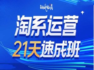 淘系运营21天速成班35期，年前最后一波和2025方向-天娱网创
