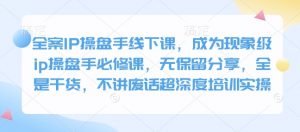 全案IP操盘手线下课，成为现象级ip操盘手必修课，无保留分享，全是干货，不讲废话超深度培训实操-天娱网创