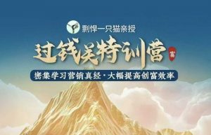 剽悍一只猫-过钱关特训营，学习营销真经 大幅度提高创富效率-天娱网创