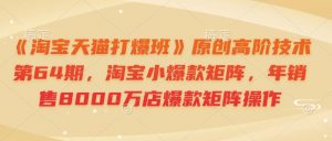 《淘宝天猫打爆班》原创高阶技术第64期，淘宝小爆款矩阵，年销售8000万店爆款矩阵操作-天娱网创