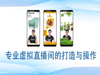 个人虚拟直播间的搭建与操作，专业虚拟直播间的打造与操作-天娱网创