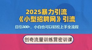 2025最新暴力引流方法，招聘平台一天引流300+，日变现多张，专业人士力荐-天娱网创