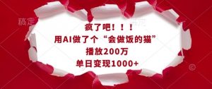 疯了吧！用AI做了个“会做饭的猫”，播放200万，单日变现1k-天娱网创