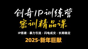 2025年“知识付费IP训练营”小白避坑年赚百万，暴力引流，闪电成交-天娱网创