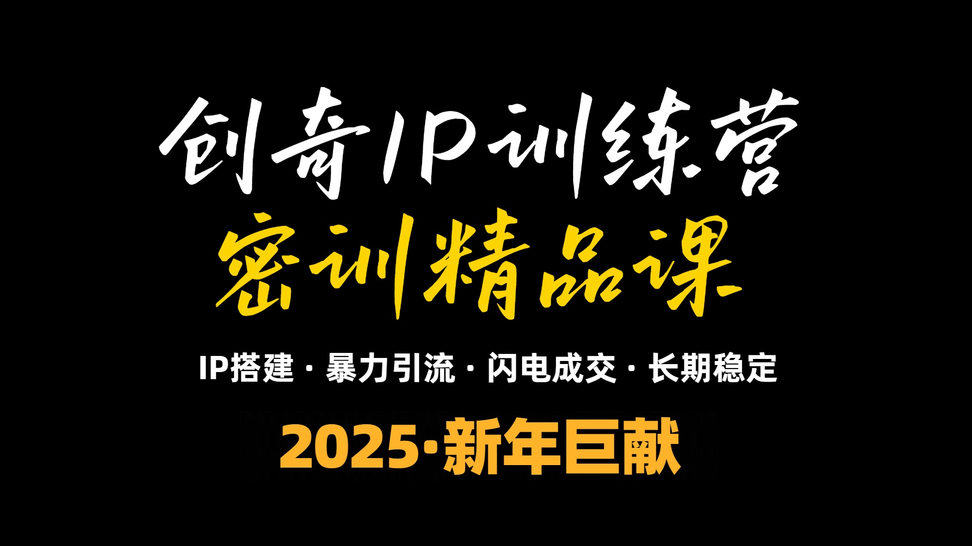2025年“知识付费IP训练营”小白避坑年赚百万，暴力引流，闪电成交-天娱网创