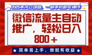 微信流量主自动推广，轻松日入800+，简单易上手，做就有收益。-天娱网创