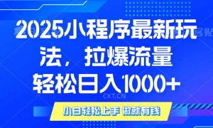 2025年小程序最新玩法，流量直接拉爆，单日稳定变现1000+-天娱网创
