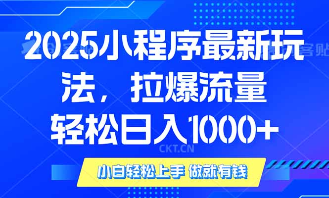 2025年小程序最新玩法，流量直接拉爆，单日稳定变现1000+-天娱网创