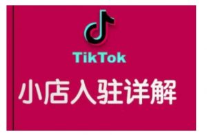 TikTok跨境小店运营全攻略,帮助你独立运营TK跨境小店的能力,实现销量增长-天娱网创