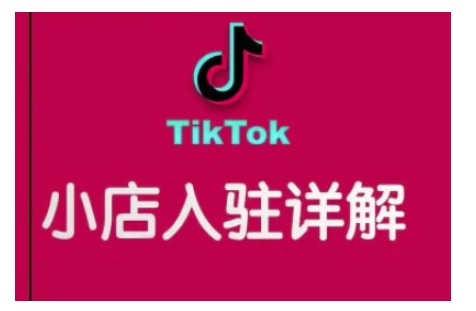 TikTok跨境小店运营全攻略,帮助你独立运营TK跨境小店的能力,实现销量增长-天娱网创
