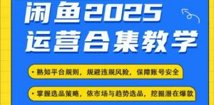 2025闲鱼电商运营全集，2025最新咸鱼玩法-天娱网创