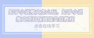 知乎小说推文怎么玩，知乎小说推文项目保姆级实战教程-天娱网创