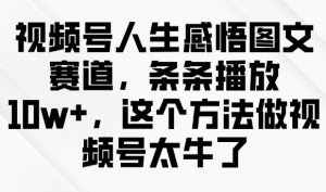 视频号人生感悟图文赛道,条条播放10w+,这个方法做视频号太牛了-天娱网创