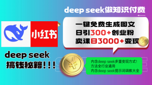 Deep seek 一键免费生成小红书图文日引300+创业粉，日变现3000+教程！...-天娱网创