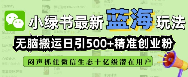 小绿书无脑搬运引流,全自动日引500精准创业粉,微信生态内又一个闷声发财的机会-天娱网创