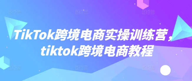 TikTok跨境电商实操训练营,tiktok跨境电商教程-天娱网创