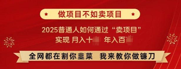 必看，做项目不如卖项目，2025普通人如何通过“卖项目”实现月入十个，年入百个-天娱网创