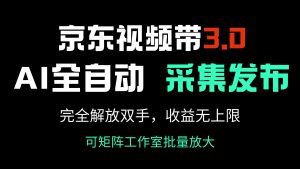 京东视频带货3.0，Ai全自动采集＋自动发布，完全解放双手，收入无上限...-天娱网创