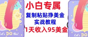 复制粘贴挣美金，0门槛，1天收入95美刀，3分钟学会，内部教程(首次公开)-天娱网创
