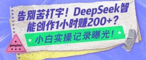 告别苦打字！DeepSeek智能创作1小时入2张？小白实操记录曝光-天娱网创
