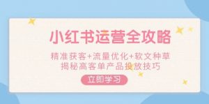 小红书运营全攻略，精准获客+流量优化+软文种草，揭秘高客单产品投放技巧-天娱网创