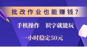批改作业也能赚钱？0门槛手机项目，识字就能玩！一小时稳定50元！-天娱网创