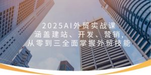 2025AI外贸实战课：涵盖建站、开发、营销, 从零到三全面掌握外贸技能-天娱网创
