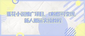 蛋花小说推文项目，0粉即可变现，新人搬运实操教程-天娱网创