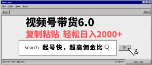 视频号带货6.0，轻松日入2000+，起号快，复制粘贴即可，超高佣金比-天娱网创