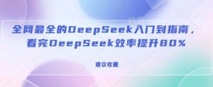 全网最全的DeepSeek入门到指南,看完DeepSeek效率提升80%(建议收藏)-天娱网创