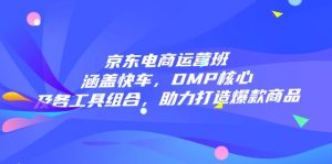 京东电商运营班：涵盖快车，DMP核心及各工具组合，助力打造爆款商品-天娱网创