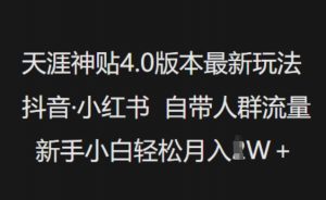 天涯神贴4.0版本最新玩法，抖音·小红书自带人群流量，新手小白轻松月入过W-天娱网创