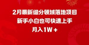 2月最新细分领域落地项目，新手小白也可快速上手，月入1W-天娱网创