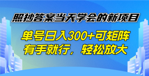 照抄答案当天学会的新项目，单号日入300 +可矩阵，有手就行，轻松放大-天娱网创