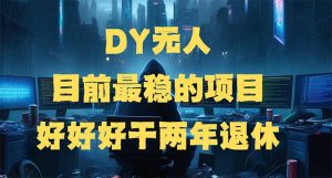 DY无人,目前最稳的项目,矩阵放大边旅游边赚钱,好好好干两年退休-天娱网创